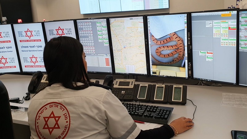 הכשות נחשים בישראל - סטטיסטיקות ומספרים