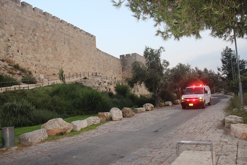 מדריך מד"א לט"ו בשבט: כך תשמרו על בריאותכם