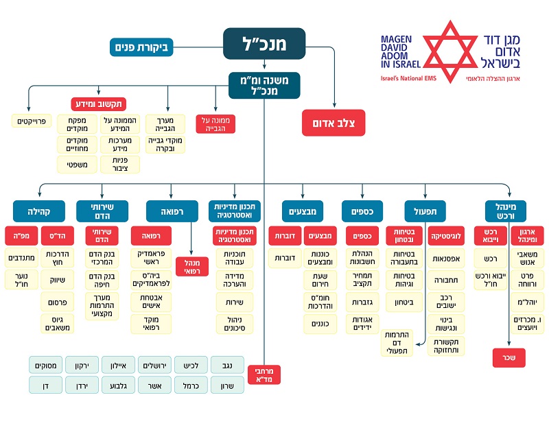 מבנה ארגוני 2022