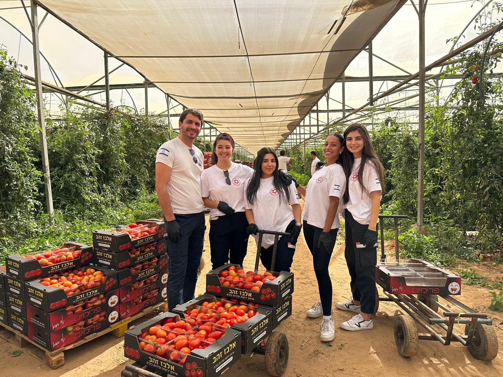 חובשי מוקד 101 יצאו להתנדב בקטיף עגבניות בעוטף