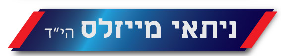 ניתאי מייזלס