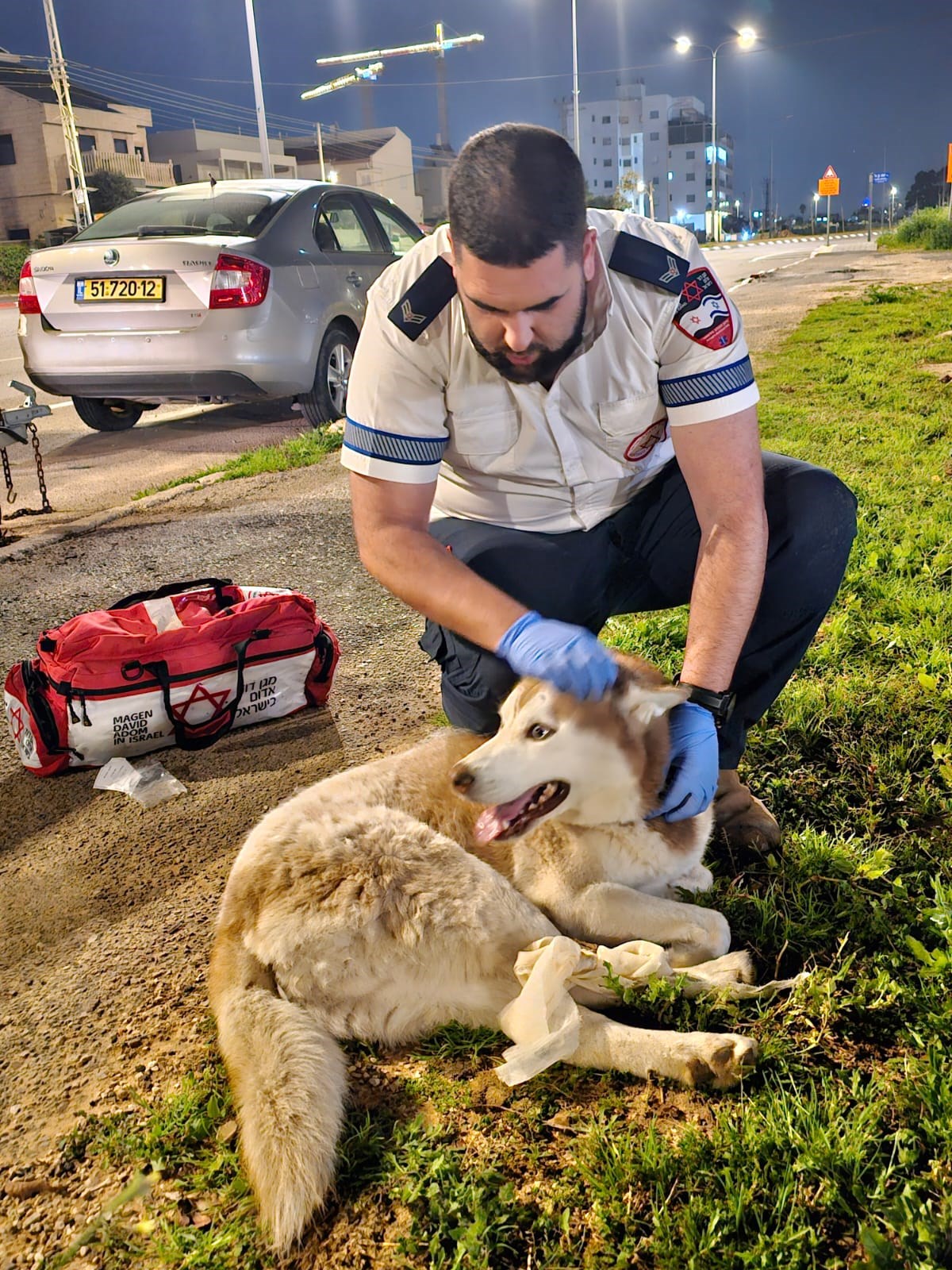 החובש חזר ממשמרת ערב והציל כלב שנפגע מרכב