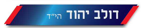 מישל ניסנבאום